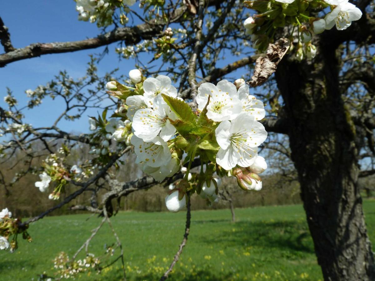Schlossblick